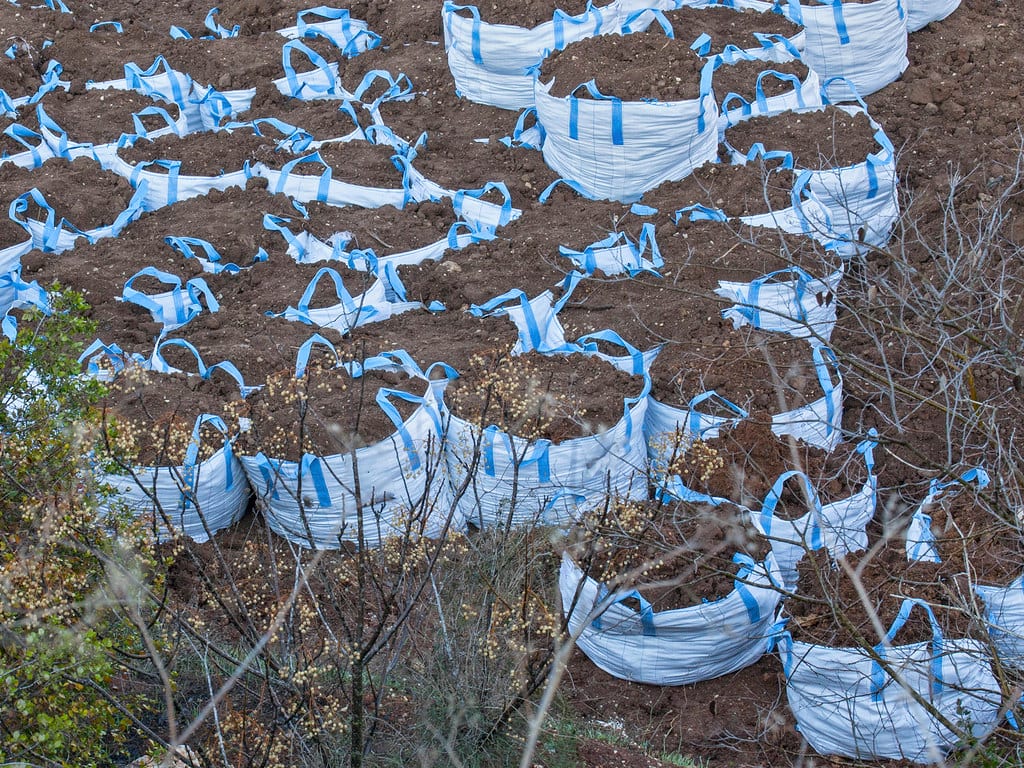 Terreno plano con nogales en El Barrial, fotografía 1 de 2